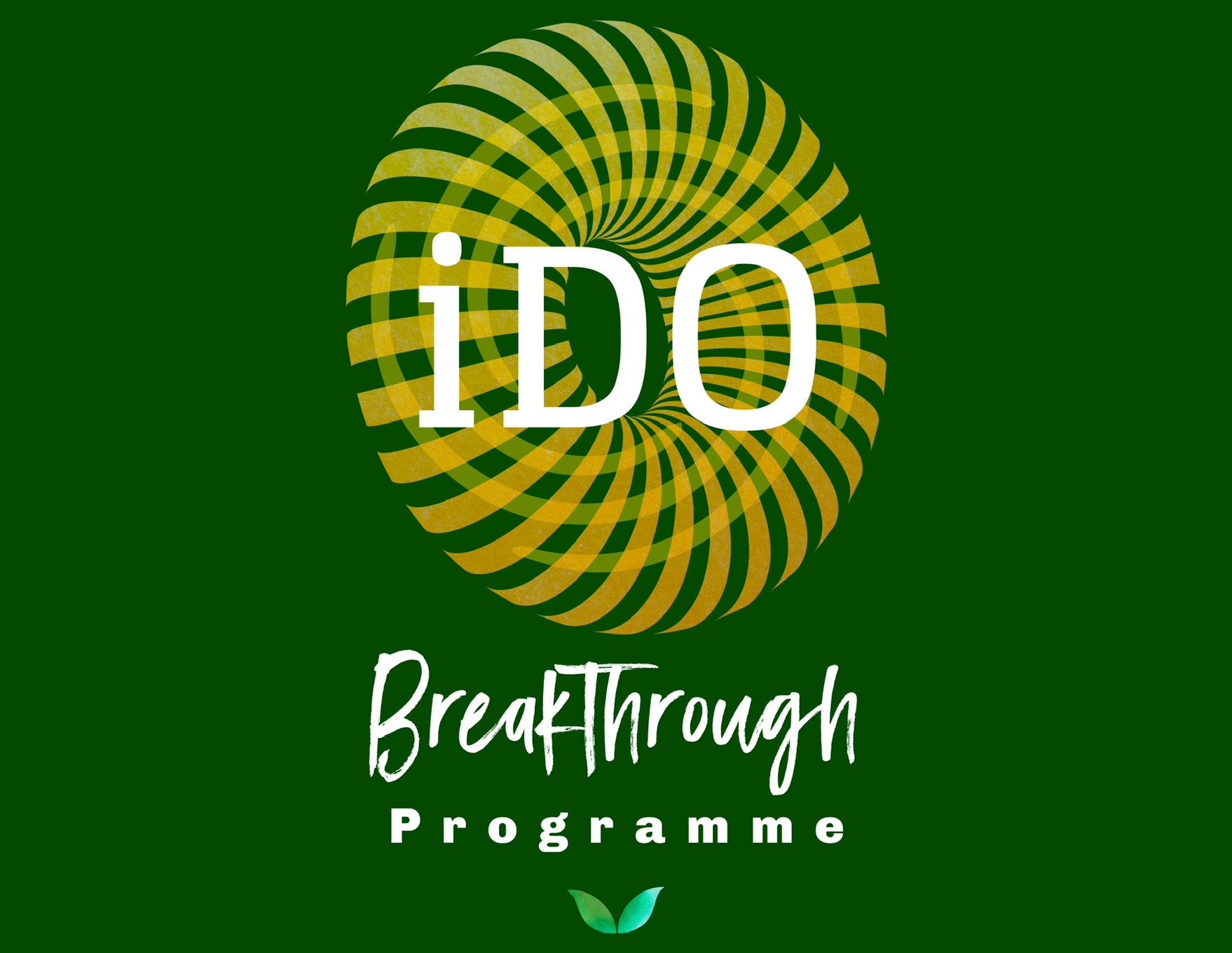 iDO BreakThrough Programme